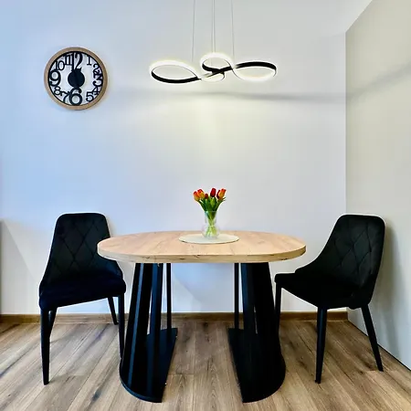 Silesia Prime Belg Przemyslowa Studio, Wi-fi, Garage * Kattowitz
