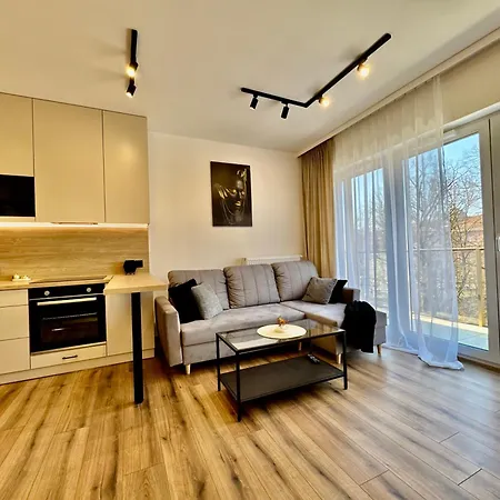 Silesia Prime Belg Przemyslowa Studio, Wi-fi, Garage * Katovice