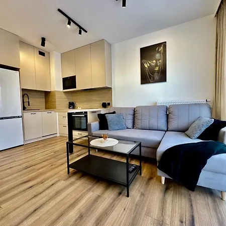 Silesia Prime Belg Przemyslowa Studio, Wi-fi, Garage Apartment
