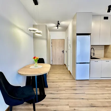 Silesia Prime Belg Przemyslowa Studio, Wi-fi, Garage Apartment *