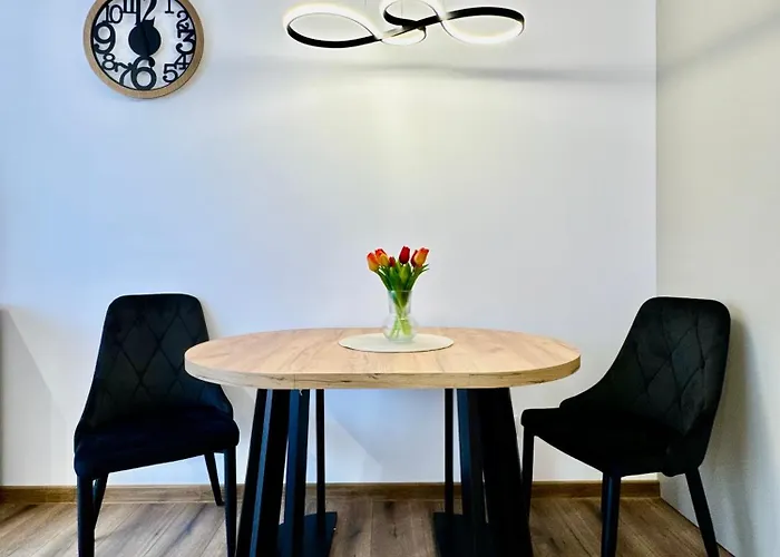 Silesia Prime Belg Przemyslowa Studio, Wi-fi, Garage * Katovice