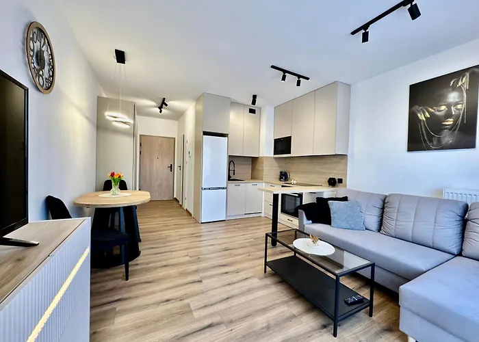 Silesia Prime Belg Przemyslowa Studio, Wi-fi, Garage