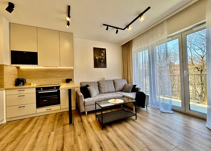 Silesia Prime Belg Przemyslowa Studio, Wi-fi, Garage * Katovice